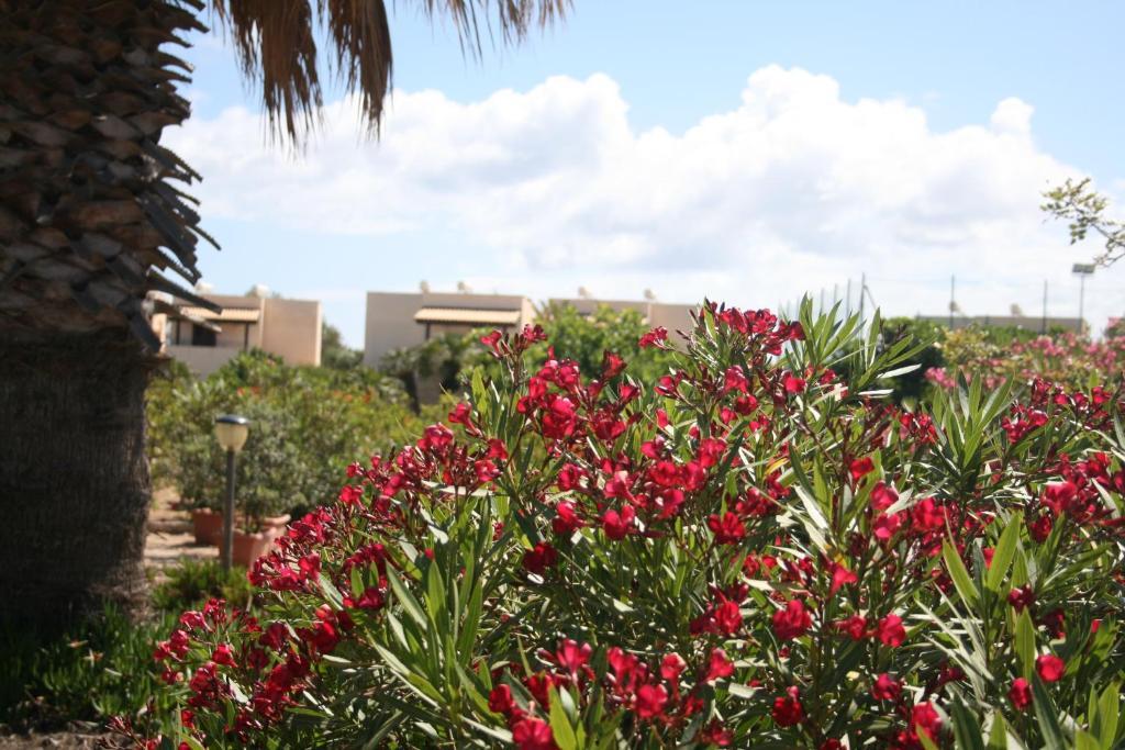 Residence Punta Longa Favignana Exterior foto